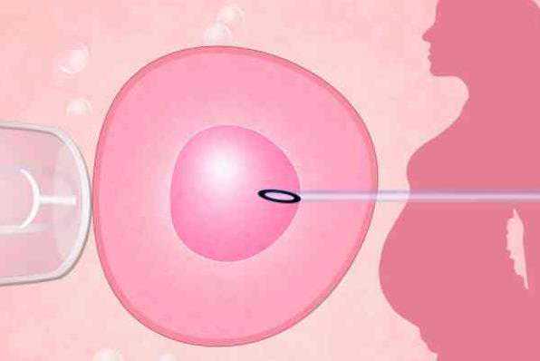 武汉借卵生子案例 武汉试管医院哪家比较好 ‘孕囊数据怎样看男女’