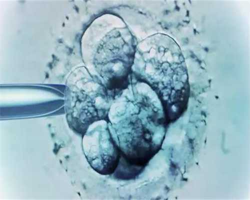 温州权威供卵试管公司 在温州附二医院做试管婴儿培养囊胚一个多少钱？ ‘